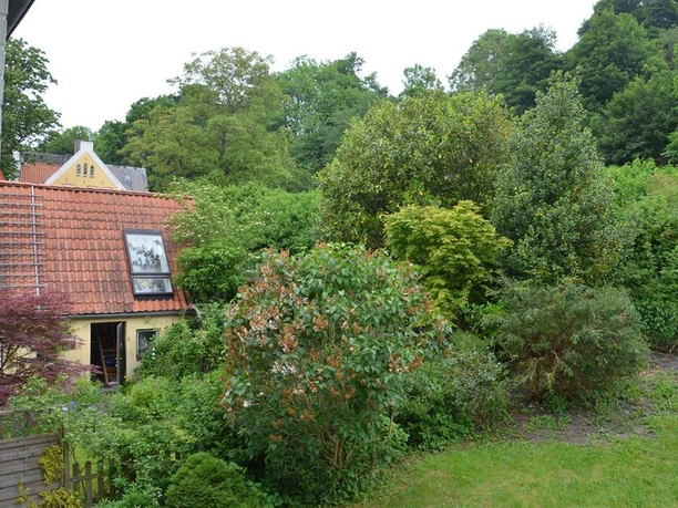 -Garten/Ausblick- -Garten/Ausblick-