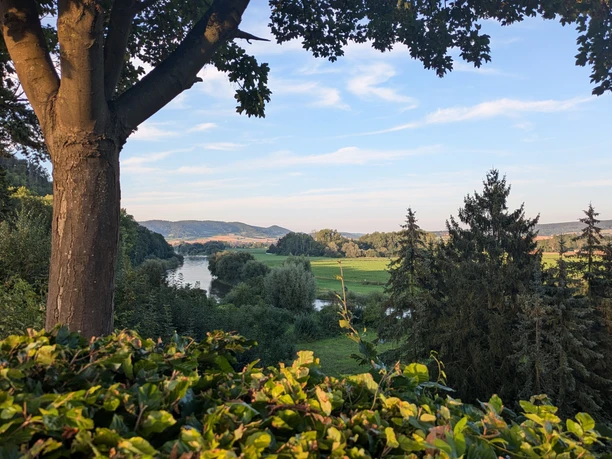 Blick über die Weser mit großem Baum im Vordergrund