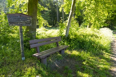 Stemweder Berg Holzbank unter einem Baum im sonnigen Wald, mit Schild über lokale Gemeindeaktivitäten.