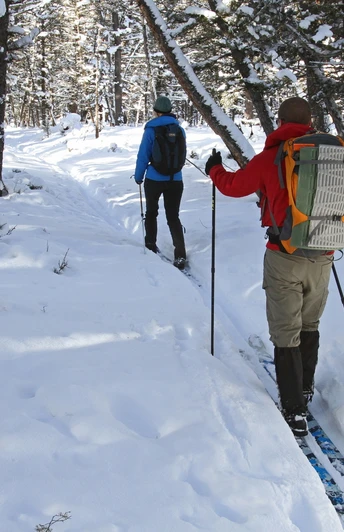 Langläufer bei Saupsdorf
