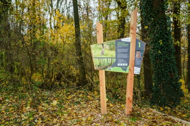 Wildkatzenlehrpfad Heyda - Tafel 1