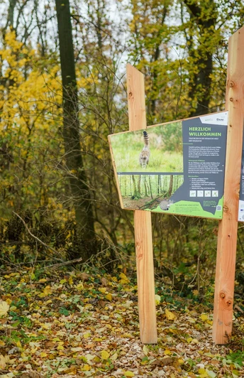 Wildkatzenlehrpfad Heyda - Tafel 1