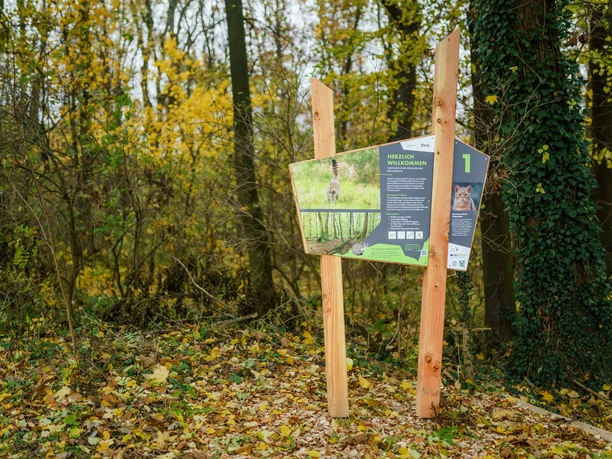 Wildkatzenlehrpfad Heyda - Tafel 1