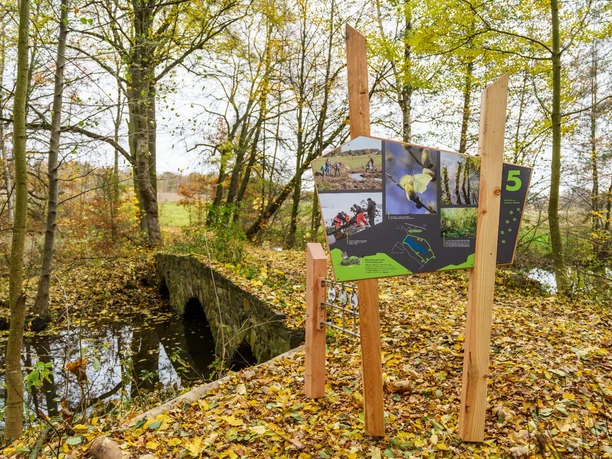 Wildkatzenlehrpfad Heyda - Tafel 5