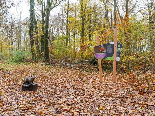 Wildkatzenlehrpfad Heyda - Tafel 6