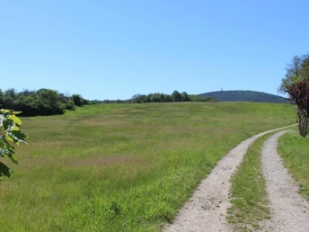 Huttungswiesen Reichenau