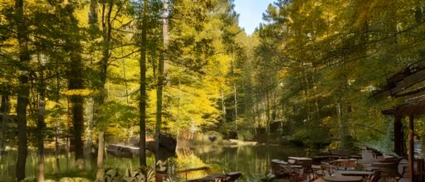 Firefly gaststätte im Wald, innen und außen, am weiter entfernten Teich 17616.jpg