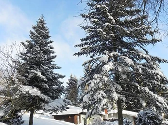 Haus und Garten im weißen Kleid