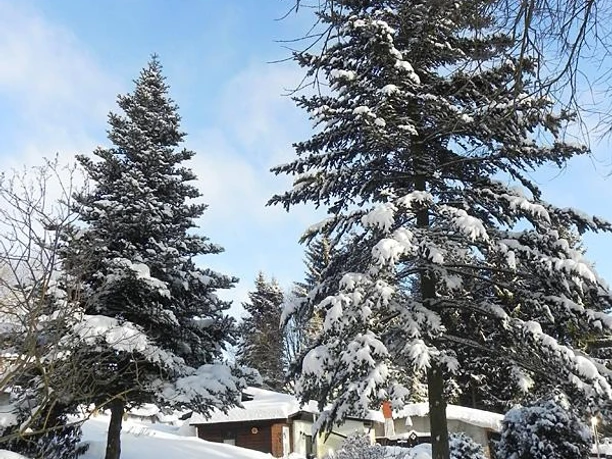 Haus und Garten im weißen Kleid