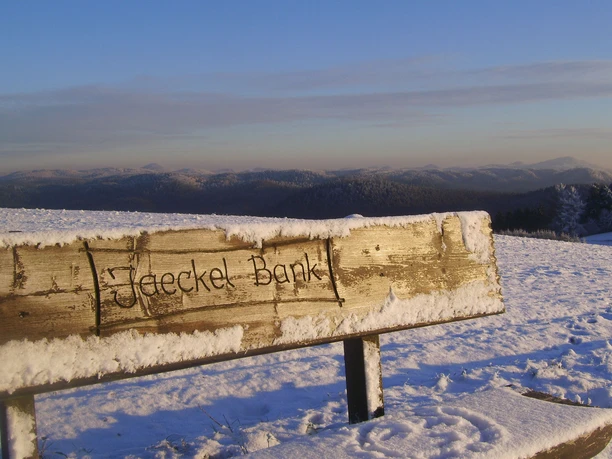 Jaeckel Bank in Hinterhermsdorf