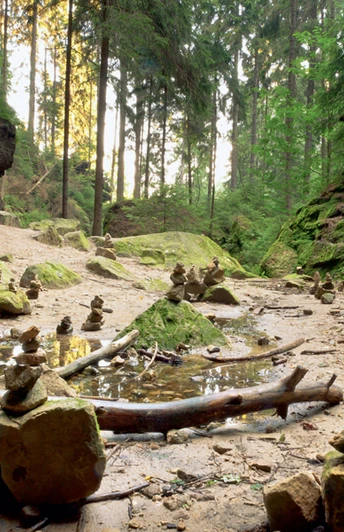 Auf Zauberpfaden unterwegs