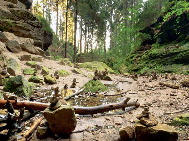 Auf Zauberpfaden unterwegs