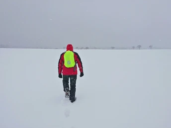 Auf dem (verschneiten) Mühlsteig