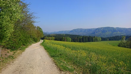Der Panoramaweg