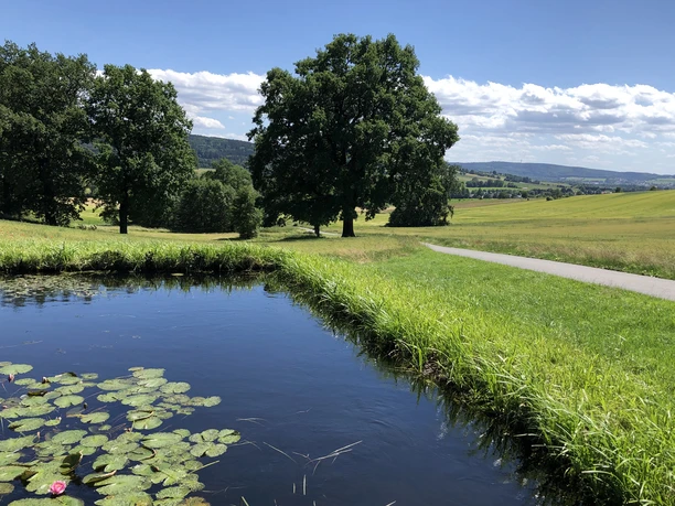 Radweg oberhalb von Niederottendorf