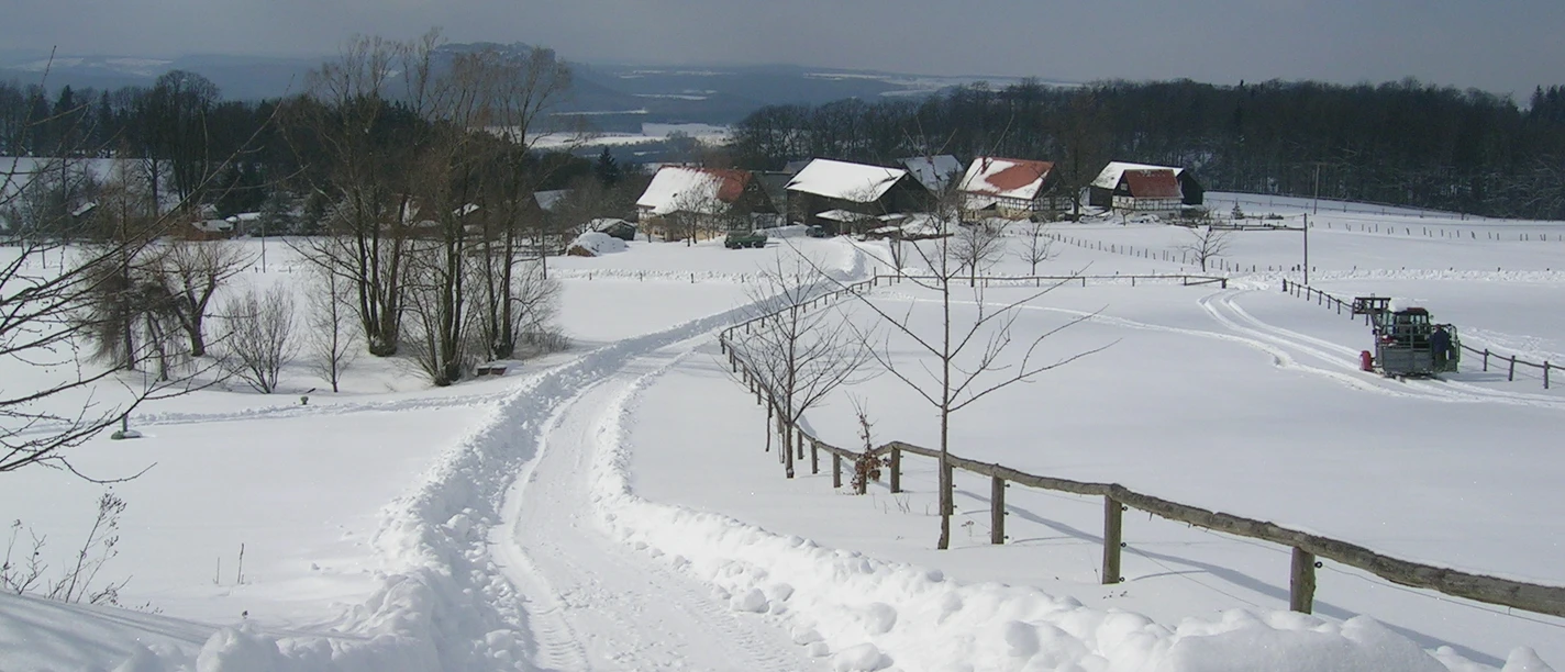 Waitzdorf im Winter