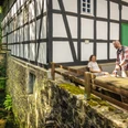 Gutswassermühle Bad Holzhausen Eine historische Wassermühle mit Fachwerk, umgeben von Natur, mit einem Paar an einem Holztisch.