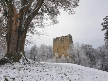 Kultur-Sehenswuerdigkeiten-Burgruine Kastelen-Alberswil-Willisau-Winter-WT-1-122020.jpg Kastelen im Winter