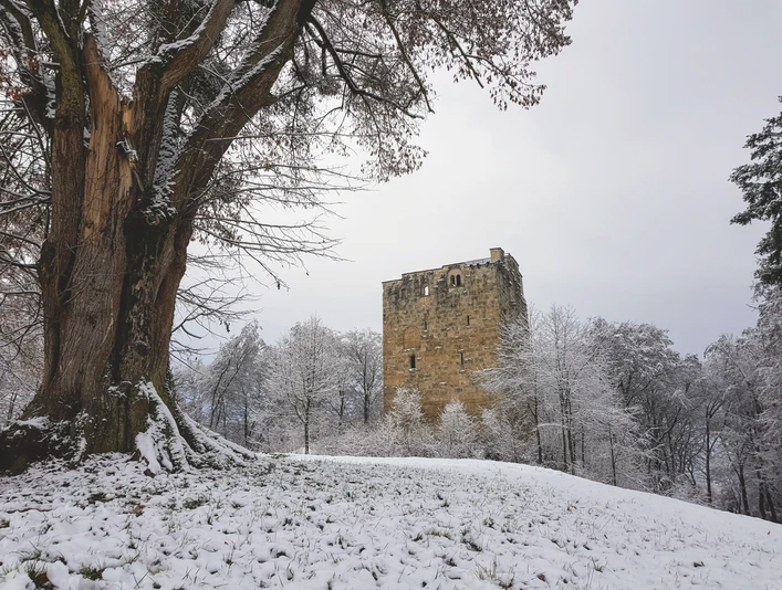 Kultur-Sehenswuerdigkeiten-Burgruine Kastelen-Alberswil-Willisau-Winter-WT-1-122020.jpg Kastelen im Winter