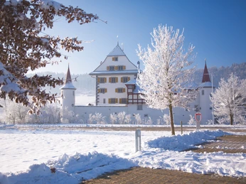schloss wyher-ettiswil-willisau tourismus-priska ziswiler-en-1.jpg Wasserschloss Wyher im Winter