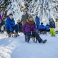 Rodel- und Skihang Böckchen
