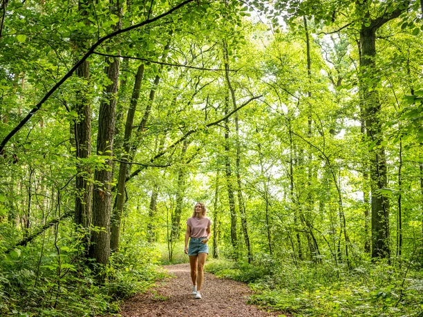 Wanderpfad durch einen lichtdurchfluteten, grünen Wald. Eine Frau spaziert entspannt am Weg entlang.