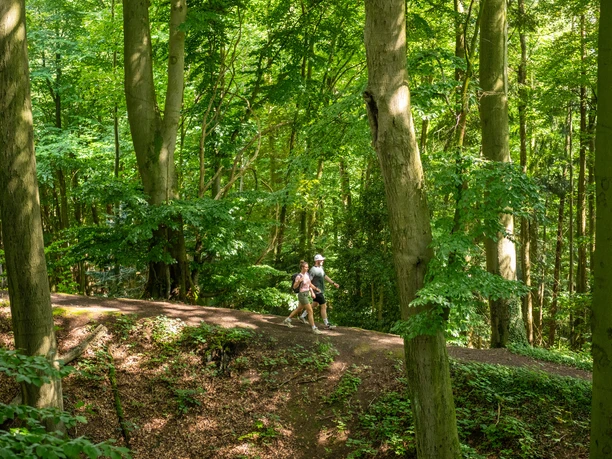 Preußisch-Oldendorf Wiehengebirge Zwei Wanderer spazieren auf einem schattigen Waldweg zwischen hohen, dicht stehenden Buchen.