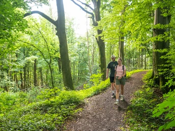 Zwei Personen wandern auf einem grünen Waldweg im sonnenbeschienenen Wiehengebirge.