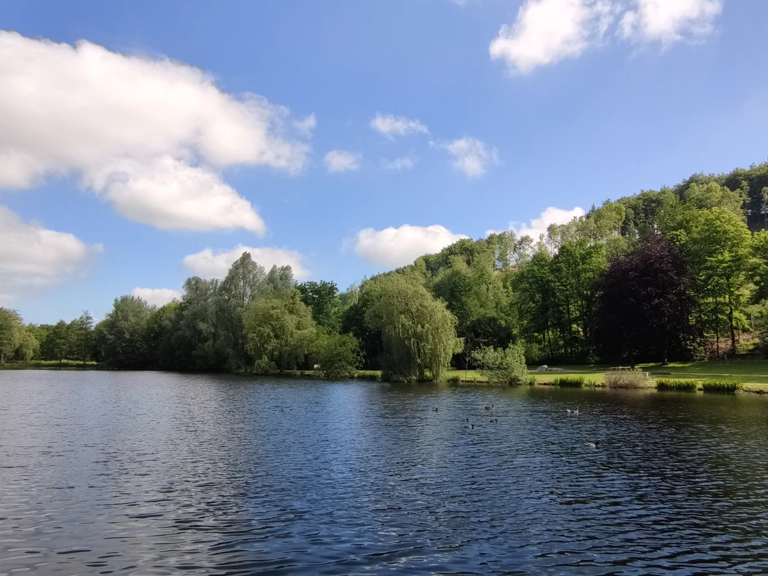 Paddelteich im Aatal Ein ruhiger Teich umgeben von grünen Bäumen unter einem blauen Himmel mit weißen Wolken.