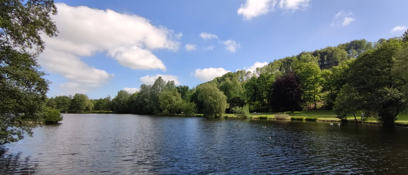 Paddelteich im Aatal Ein ruhiger Teich umgeben von grünen Bäumen unter einem blauen Himmel mit weißen Wolken.