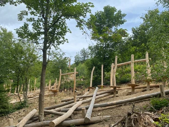 Niederseilgarten im Aatal Niederseilgarten mit hölzernen Balancierpfaden und Hindernissen, eingebettet in einen bewaldeten Hang.