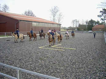 Ponyhof Hagedorn Eine Gruppe von Reitern auf Ponys folgt einem Pfad auf einem umzäunten Reitplatz in ländlicher Umgebung.A group of riders on ponies follow a path on a fenced riding arena in a rural setting.En gruppe ryttere på ponyer følger en sti langs en indhegnet ridebane i landlige omgivelser.Een groep ruiters op pony's volgt een pad langs een omheinde rijbaan in een landelijke omgeving.