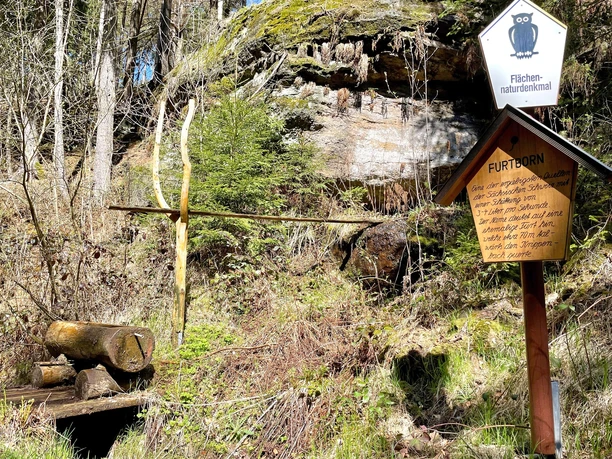 Der Furtborn im Tal des Krippenbachs