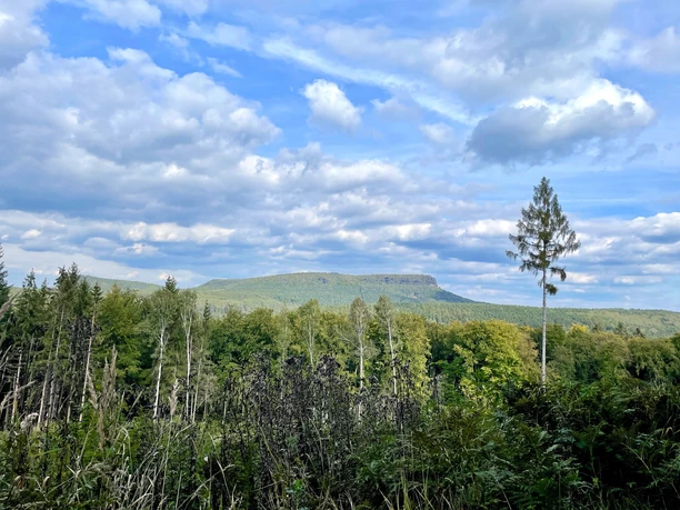 Blick zum Großen Zschirnstein