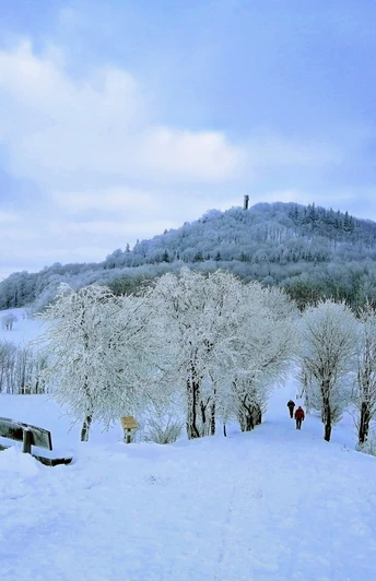 Auf dem Weg zum Geisingberg im Winter