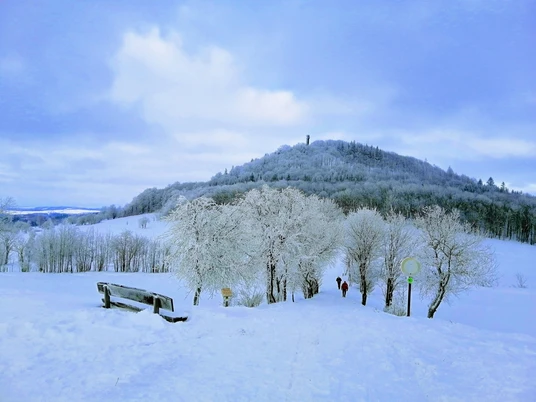 Auf dem Weg zum Geisingberg im Winter