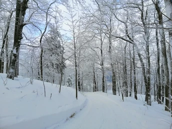 Auf dem Weg zur Geisingbaude