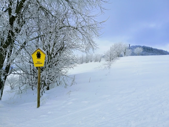 Naturschutzgebiet in der Nähe von Geisingberg