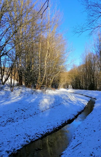 Winterwanderung entlang des Aschergraben - Schwarzwasser