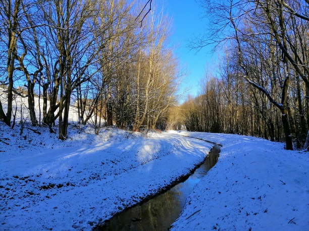 Winterwanderung entlang des Aschergraben - Schwarzwasser