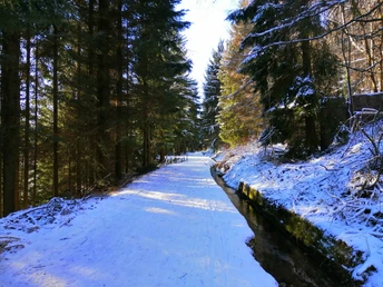 Winterwandern Aschergraben