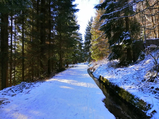 Winterwandern Aschergraben
