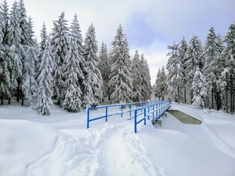 Winterwanderung rund um den Galgenteich