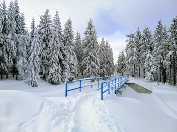 Winterwanderung rund um den Galgenteich