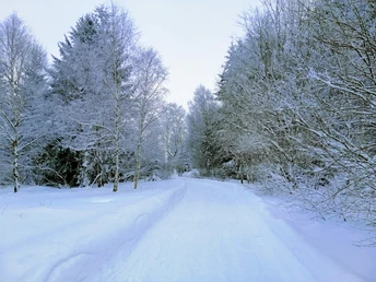 Winterwanderung rund um den Großen Galgenteich