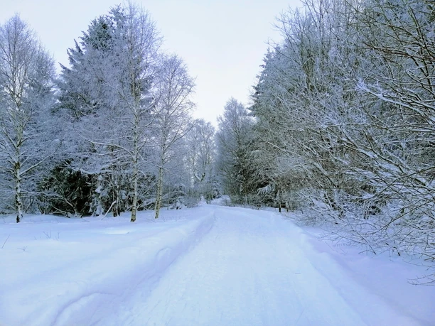 Winterwanderung rund um den Großen Galgenteich