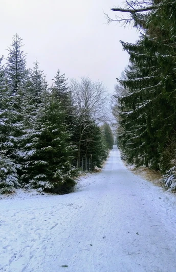 Winterwanderweg zur Tellkoppe - Langer Weg