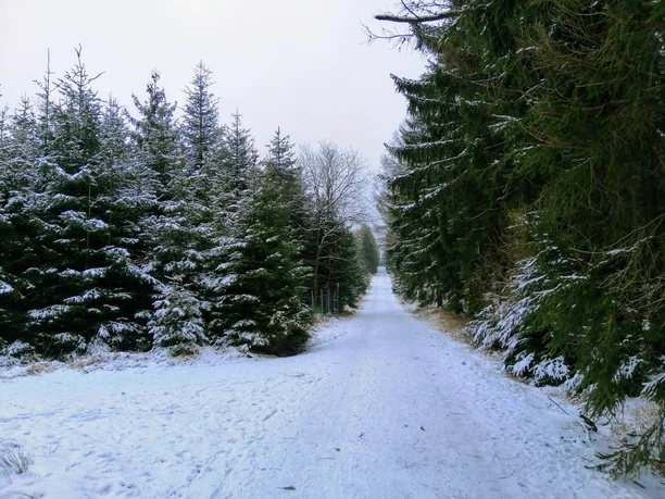 Winterwanderweg zur Tellkoppe - Langer Weg