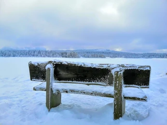 Blick auf den Kahleberg im Winter - Galgenteich