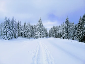 Winterwanderung rund um den Galgenteich